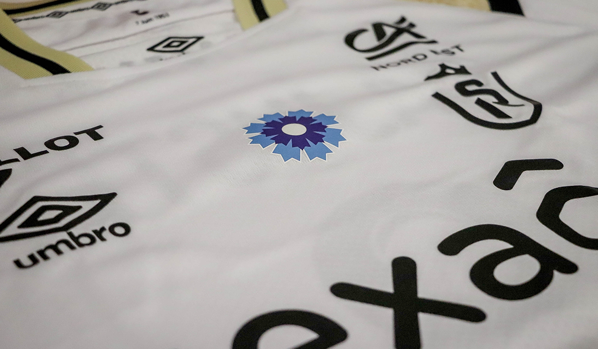 Bleuet de France