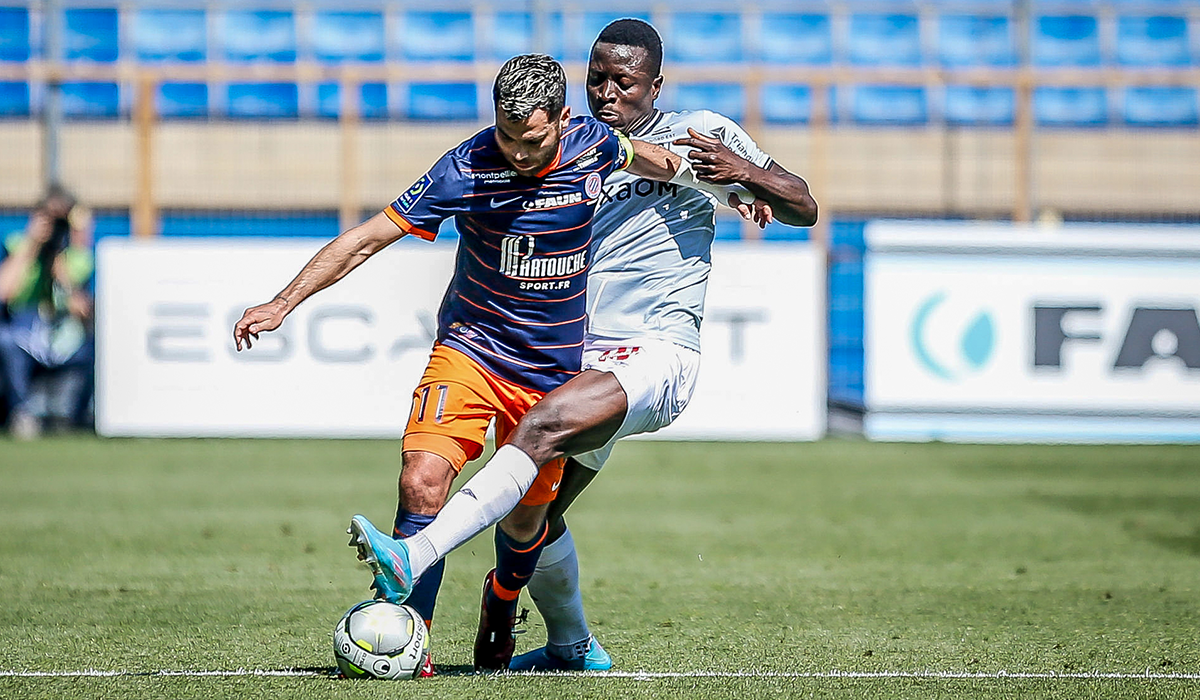 stats MHSC