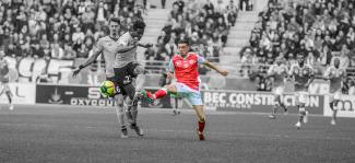 SDR-LOSC