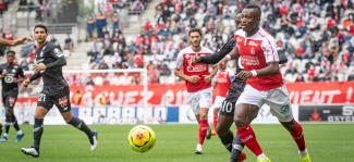 SDR-LOSC