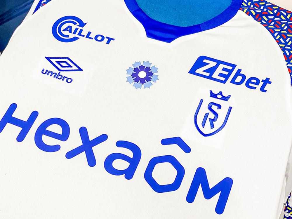 Bleuet de France