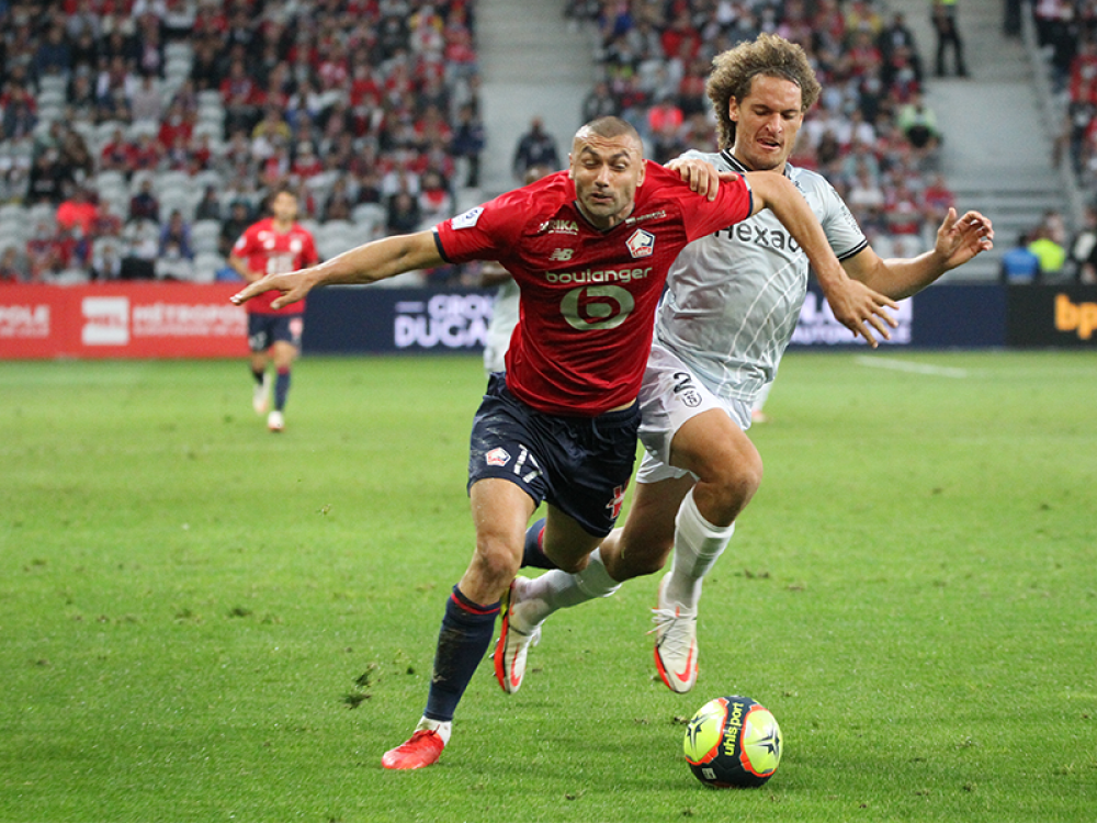 SDRLOSC stats