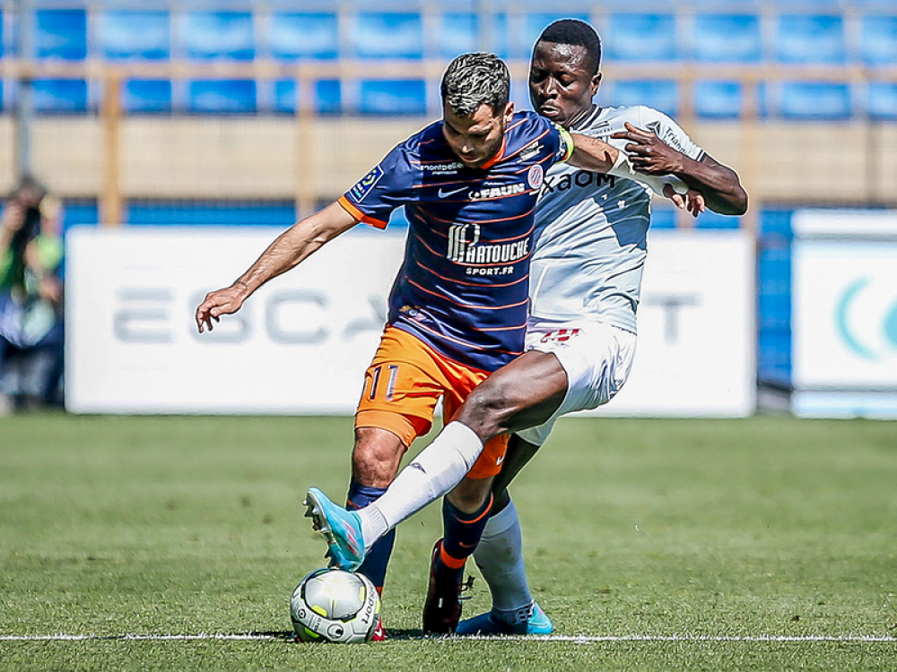 stats MHSC