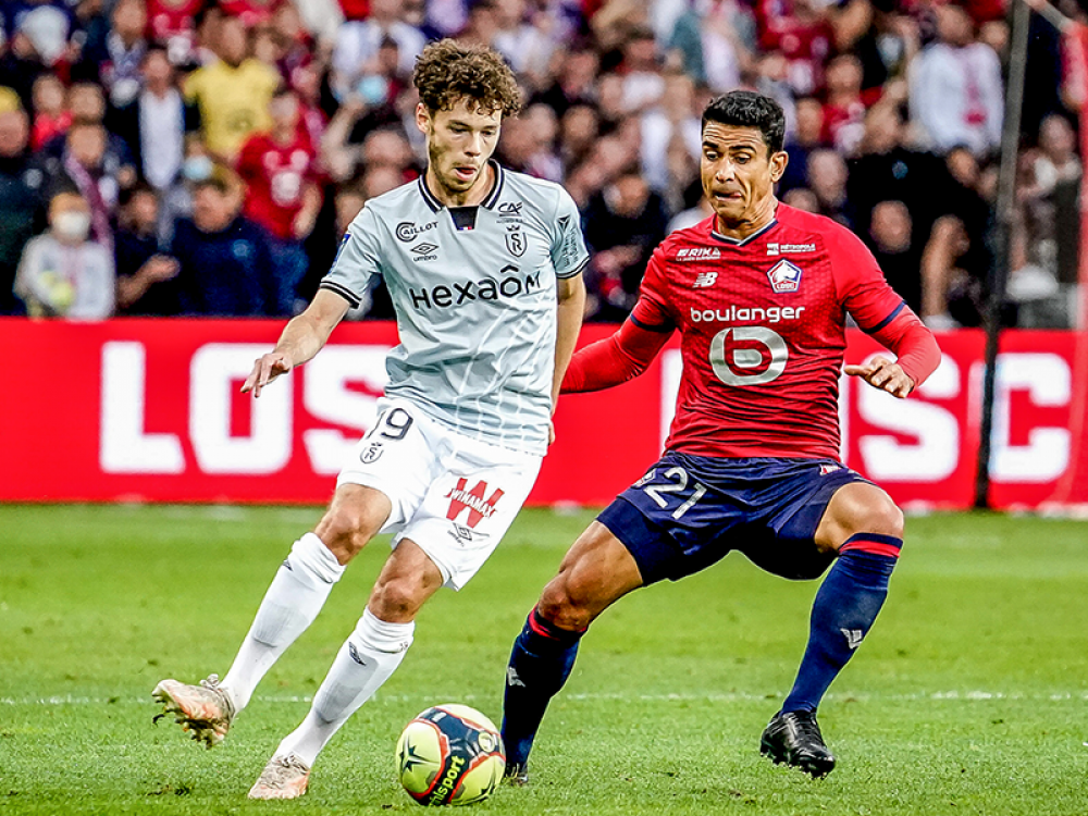 stats LOSC