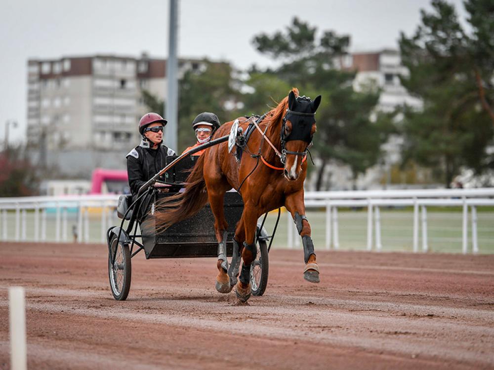 Alexis Flips Hippodrome